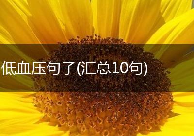 低血压句子(汇总10句)