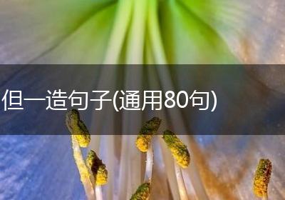 但一造句子(通用80句)