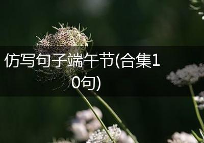 仿写句子端午节(合集10句)