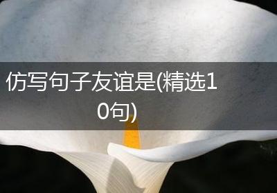 仿写句子友谊是(精选10句)
