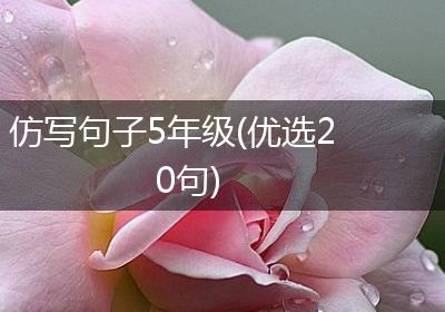 仿写句子5年级(优选20句)