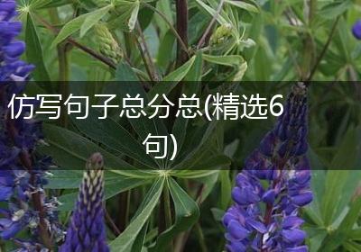仿写句子总分总(精选6句)