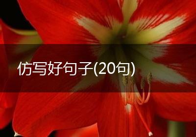 仿写好句子(20句)