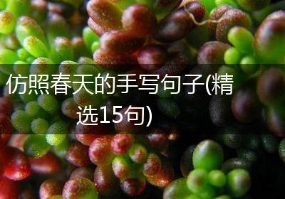 仿照春天的手写句子(精选15句)