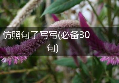 仿照句子写写(必备30句)