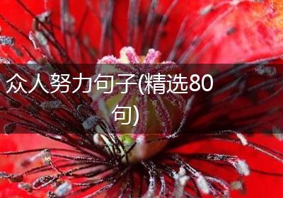 众人努力句子(精选80句)