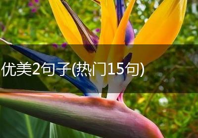 优美2句子(热门15句)