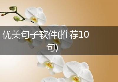 优美句子软件(推荐10句)