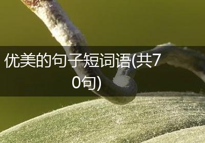 优美的句子短词语(共70句)
