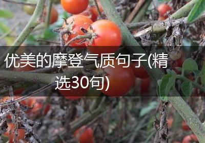 优美的摩登气质句子(精选30句)
