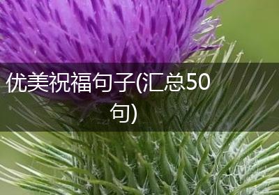 优美祝福句子(汇总50句)