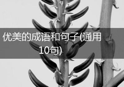 优美的成语和句子(通用10句)