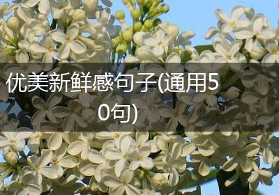 优美新鲜感句子(通用50句)