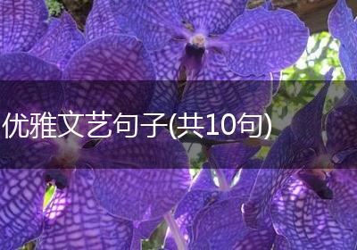 优雅文艺句子(共10句)