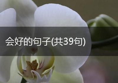 会好的句子(共39句)