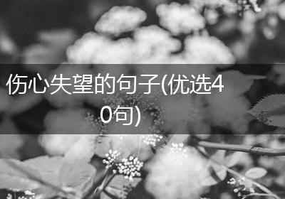 伤心失望的句子(优选40句)