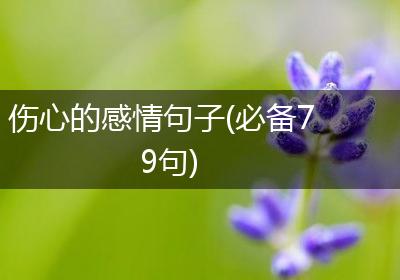 伤心的感情句子(必备79句)
