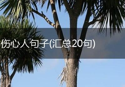 伤心人句子(汇总20句)
