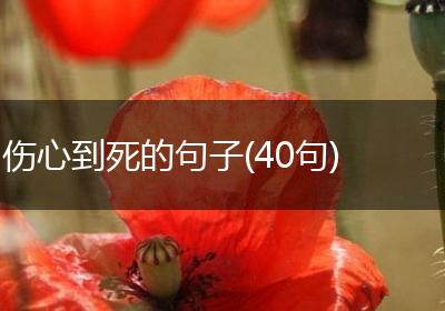 伤心到死的句子(40句)