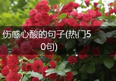 伤感心酸的句子(热门50句)