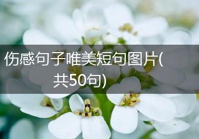 伤感句子唯美短句图片(共50句)