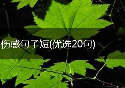 伤感句子短(优选20句)