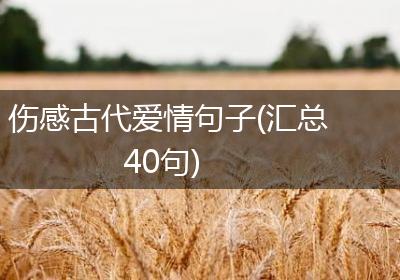 伤感古代爱情句子(汇总40句)