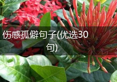 伤感孤僻句子(优选30句)