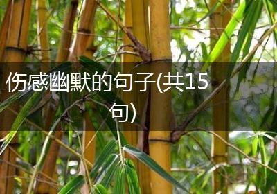 伤感幽默的句子(共15句)