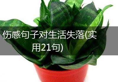伤感句子对生活失落(实用21句)