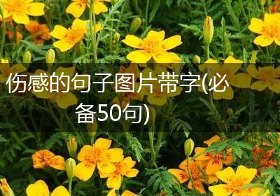 伤感的句子图片带字(必备50句)