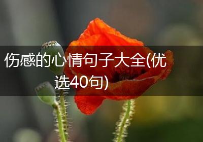 伤感的心情句子大全(优选40句)