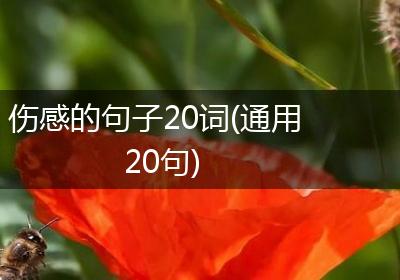 伤感的句子20词(通用20句)