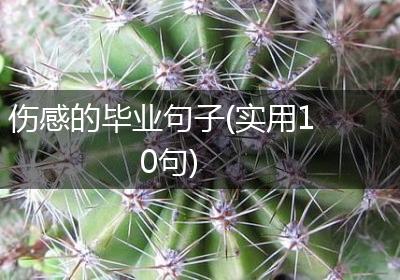伤感的毕业句子(实用10句)