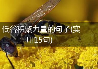 低谷积聚力量的句子(实用15句)