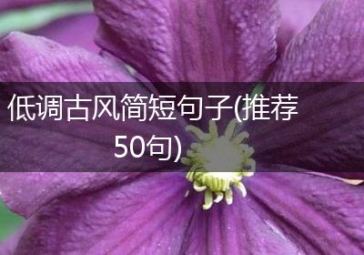 低调古风简短句子(推荐50句)