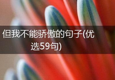 但我不能骄傲的句子(优选59句)