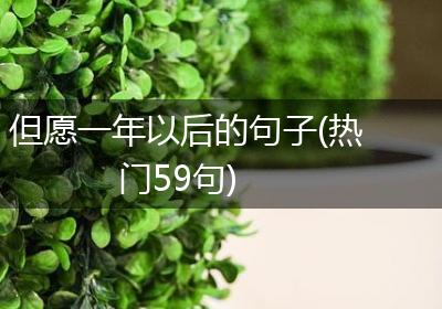 但愿一年以后的句子(热门59句)