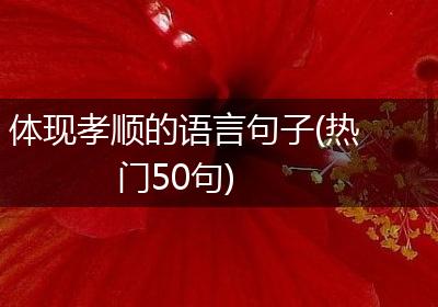 体现孝顺的语言句子(热门50句)