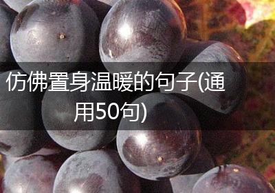 仿佛置身温暖的句子(通用50句)