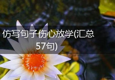 仿写句子伤心放学(汇总57句)