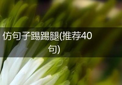 仿句子踢踢腿(推荐40句)