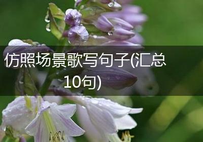 仿照场景歌写句子(汇总10句)