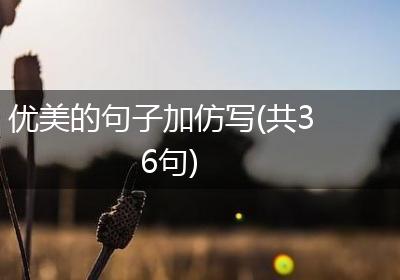 优美的句子加仿写(共36句)