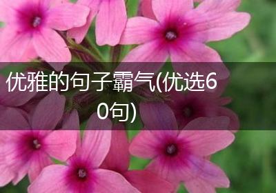 优雅的句子霸气(优选60句)