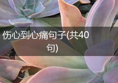 伤心到心痛句子(共40句)