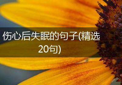 伤心后失眠的句子(精选20句)
