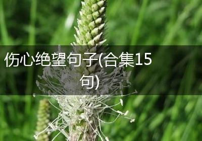 伤心绝望句子(合集15句)