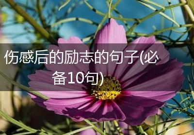 伤感后的励志的句子(必备10句)