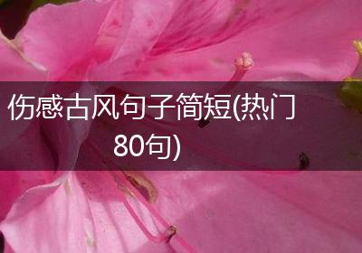 伤感古风句子简短(热门80句)